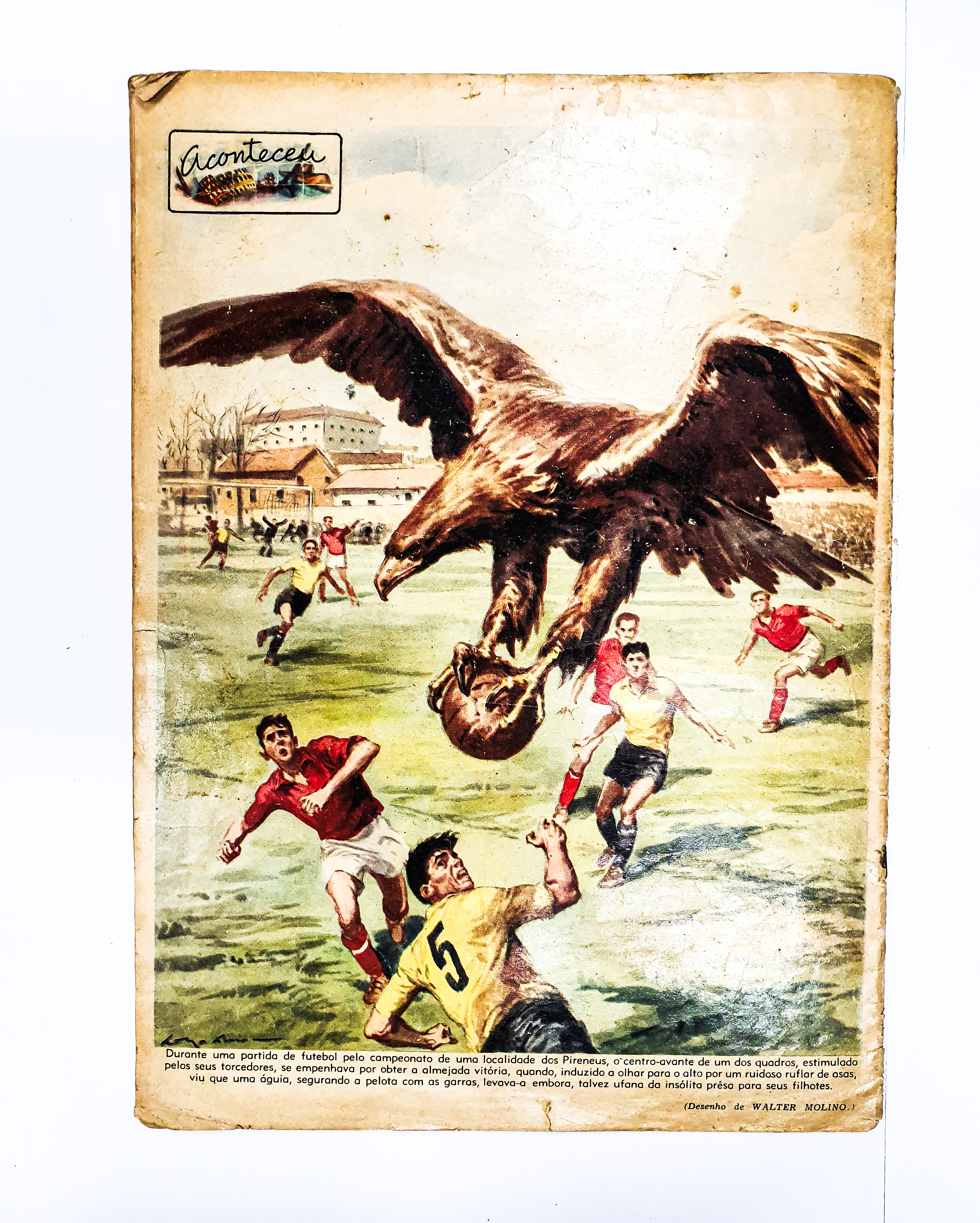 20230811_162743.jpg
