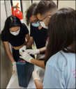 LAB 7 máscara de edna